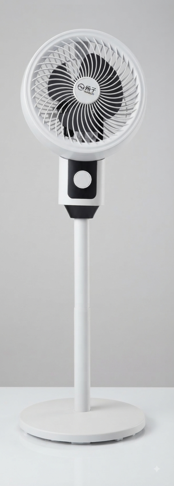 FAN YANGZI